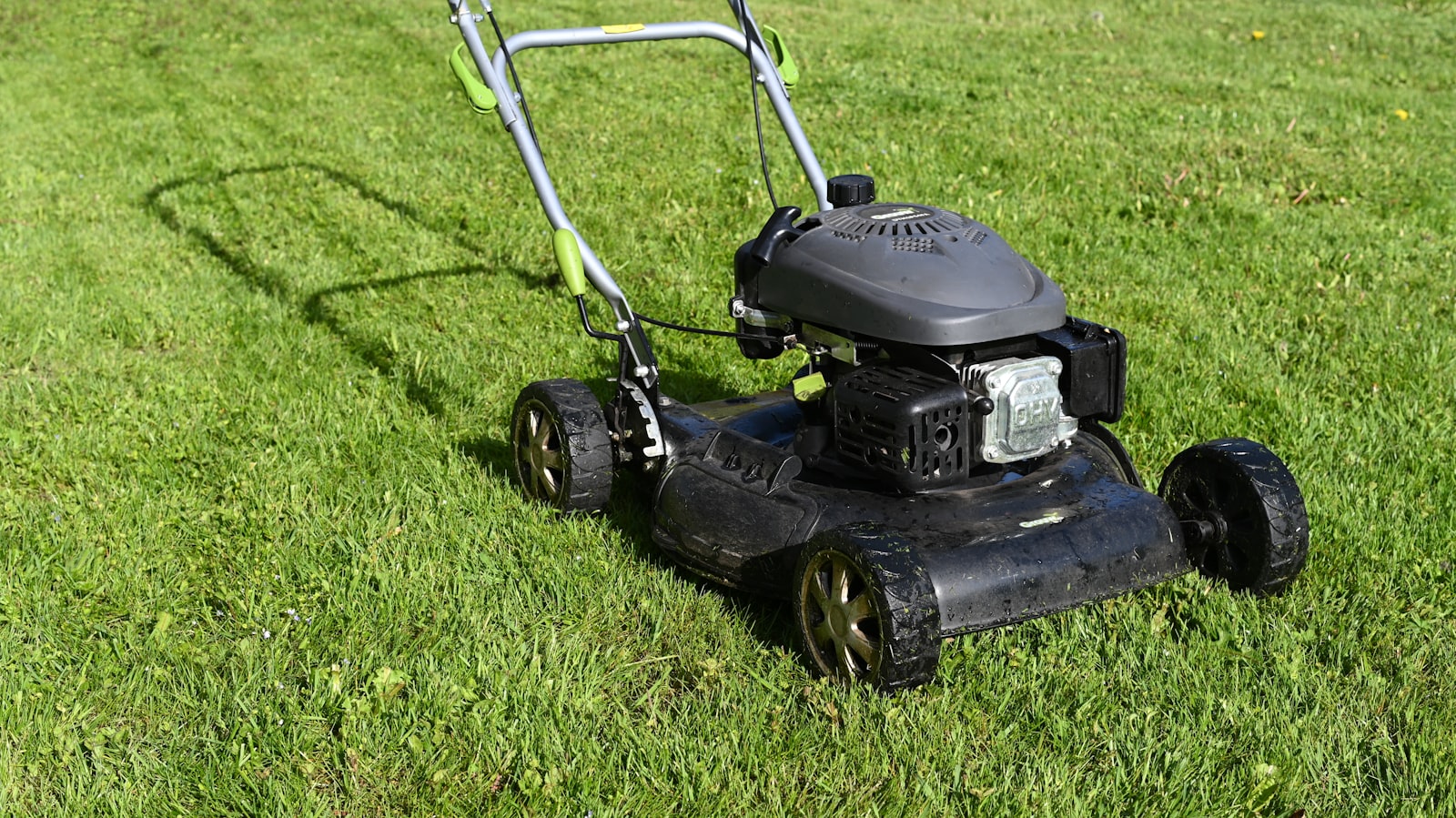 Gressklippar på nyklipt plen
